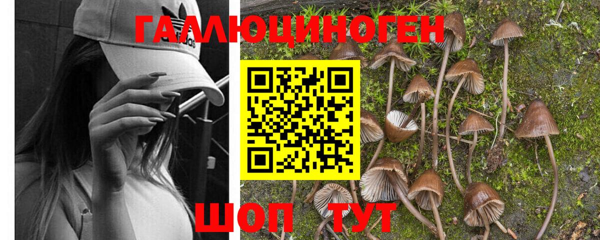 цены   Галлюциногенные грибы Cubensis  Вход с VPN  Белореченск  Галлюциногенные грибы мухоморы 